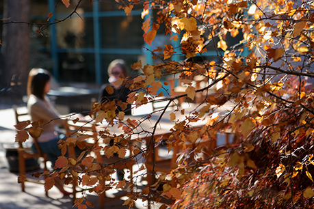 People sitting outside in the fall. Link to Life Stage Gift Planner Over Age 70 Situations. lsgp_70.jpg